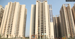 Gaur Saundaryam Resale