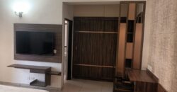 Gulshan Vivante Rent