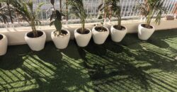 Gulshan Vivante Rent