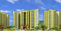 High End Paradise Resale