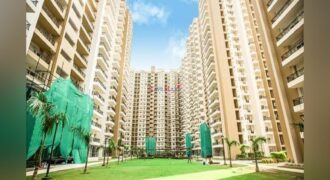 Gulshan Ikebana Resale