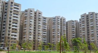 Steller Jeevan Resale