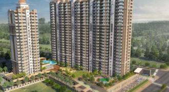 Flora Heritage Resale