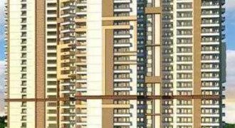 DIVYANSH FLORA Resale