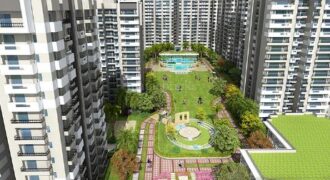 Exotica Fresco Resale