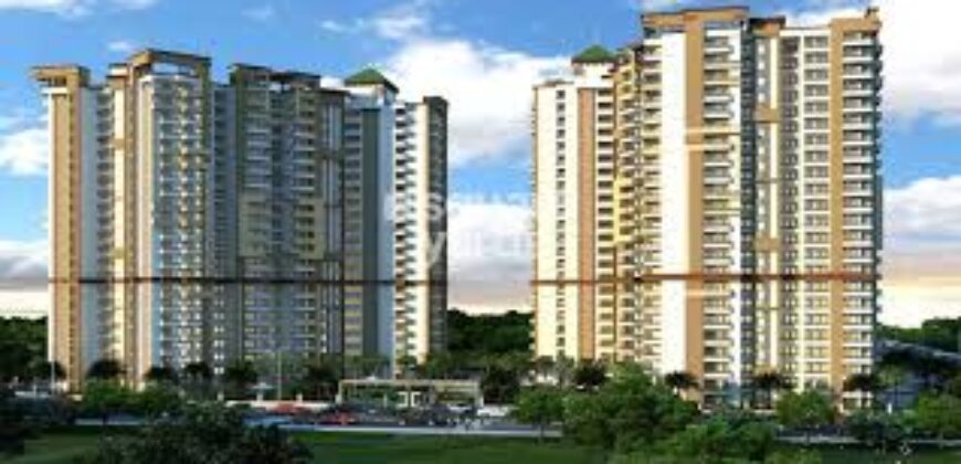 DIVYANSH FLORA Resale