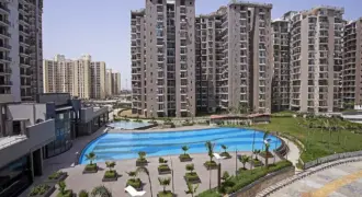 Amrapali Zodiac Resale