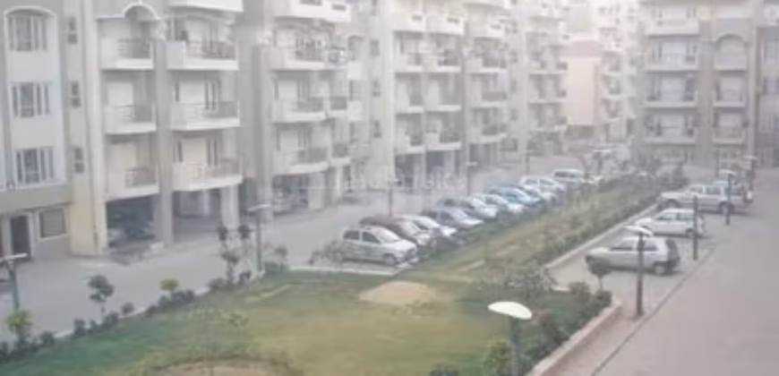 NIHO Scottish Garden Resale