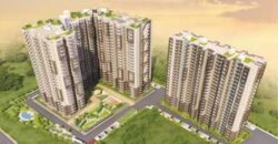 Angel Jupiter Resale