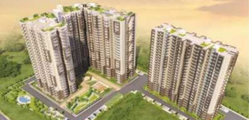 Angel Jupiter Resale