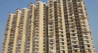 Jasmine Grove Resale