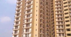 Amrapali Village Resale