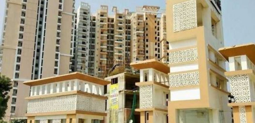 Jasmine Grove Resale