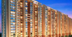 City Apartments Resale