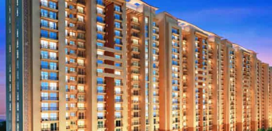 City Apartments Resale