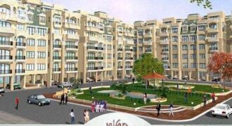 NIHO Scottish Garden Resale